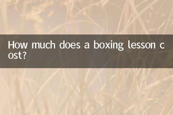 मुक्केबाजी सीखने की लागत कितनी है?