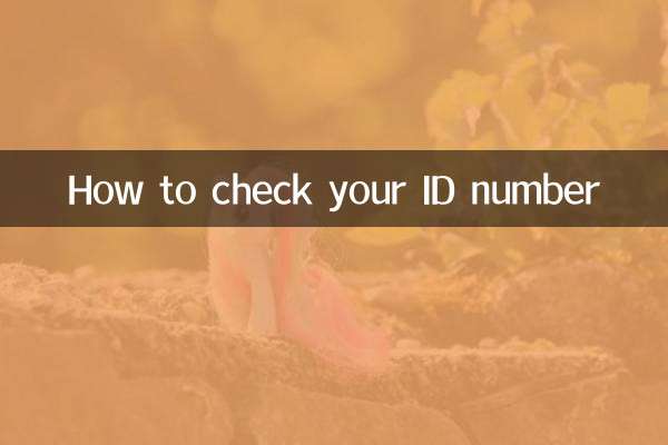 怎么看自己的身份证号