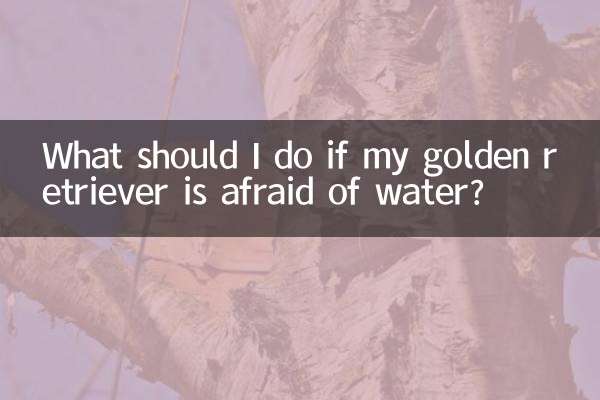 O que devo fazer se meu golden retriever tiver medo de água?