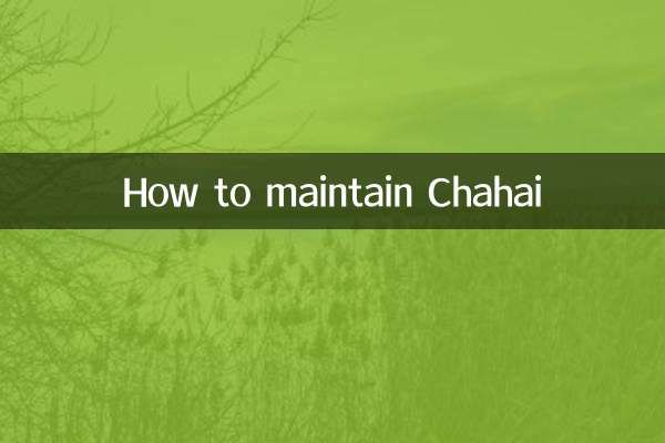چاہائی کو برقرار رکھنے کا طریقہ