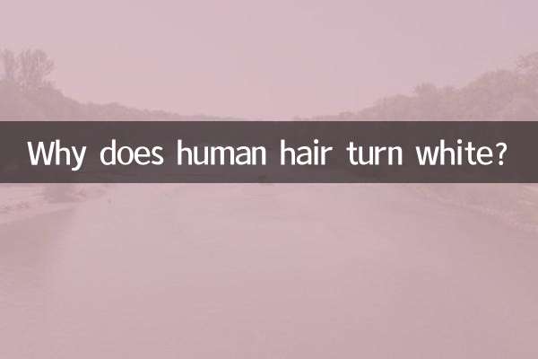 मनुष्य के बाल सफेद क्यों हो जाते हैं?