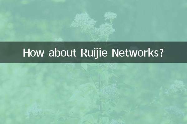 روجی نیٹ ورکس کے بارے میں کیا خیال ہے؟