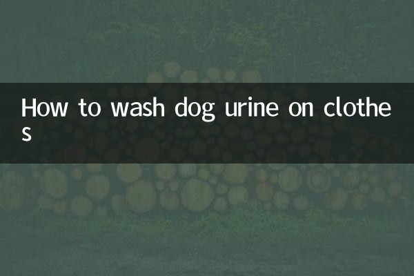 كيفية غسل بول الكلب على الملابس