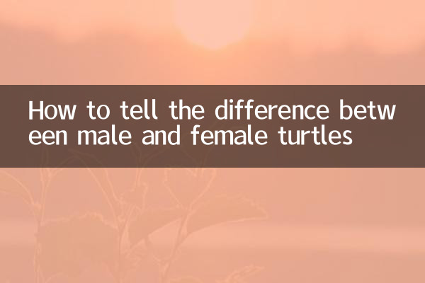 كيف نفرق بين ذكر وأنثى السلاحف