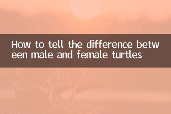 カメのオスとメスの見分け方