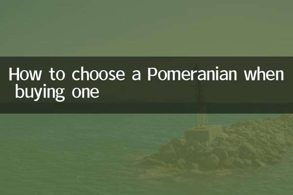 पोमेरेनियन खरीदते समय उसका चयन कैसे करें