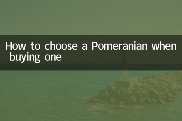 पोमेरेनियन खरीदते समय उसका चयन कैसे करें