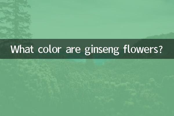 인삼꽃은 무슨색인가요?