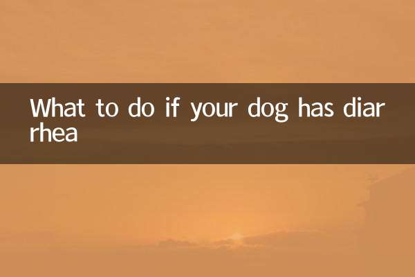 狗子拉稀怎麼辦