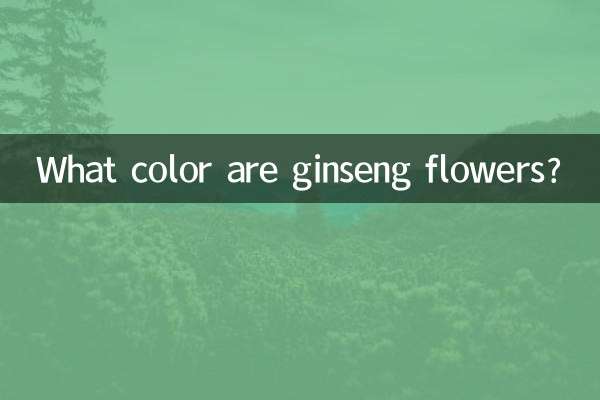 인삼꽃은 무슨색인가요?