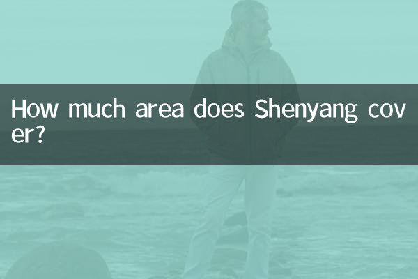 How much area does Shenyang cover?