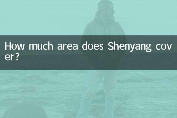 How much area does Shenyang cover?