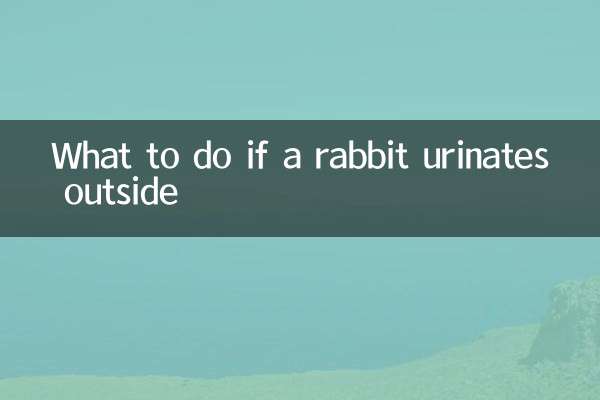 Was tun, wenn ein Kaninchen draußen uriniert?
