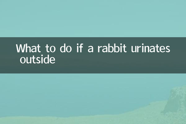 O que fazer se um coelho urinar fora