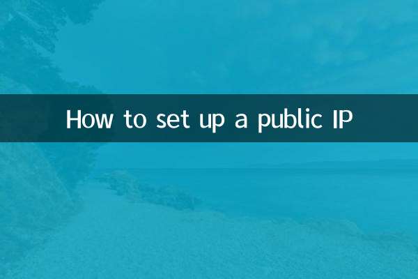 How to set up a public IP
