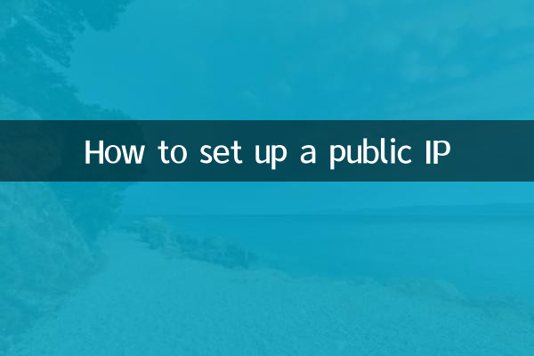 How to set up a public IP