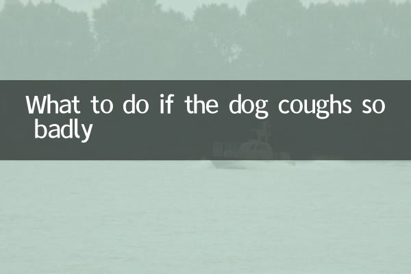 犬がひどく咳をする場合はどうすればよいですか