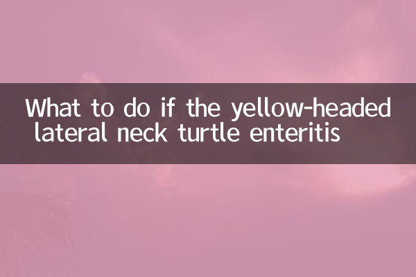 Que faire si l'entente à la tortue latérale à tête jaune