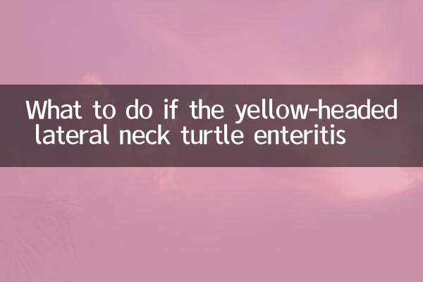 Que faire si l'entente à la tortue latérale à tête jaune