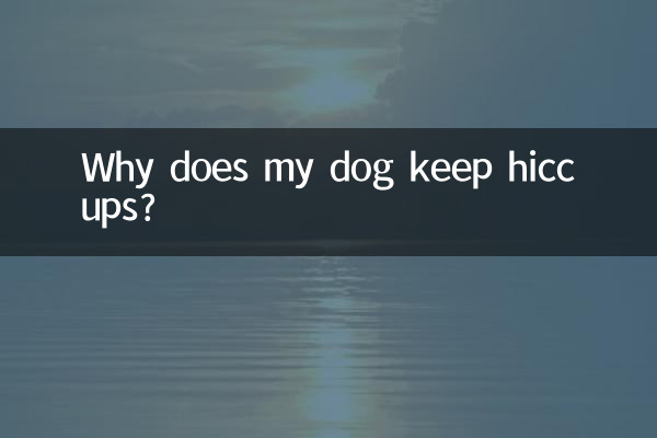 Warum hat mein Hund ständig Schluckauf?