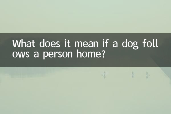 Cosa significa se un cane segue una persona a casa?