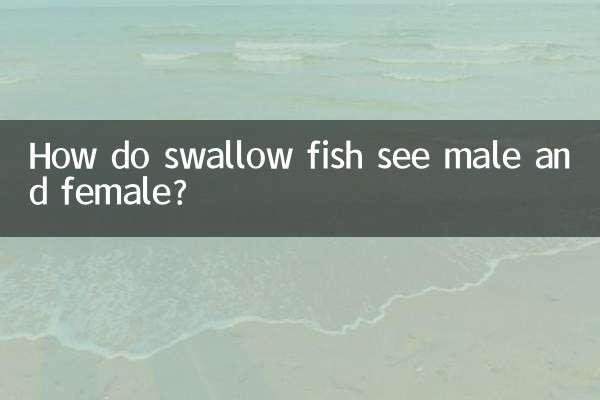 How do swallow fish see male and female?
