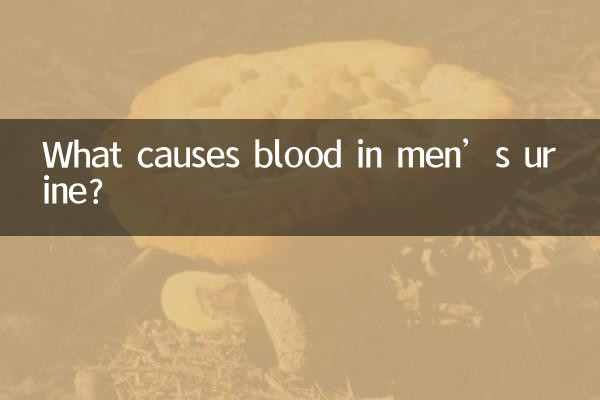 What causes blood in men’s urine?
