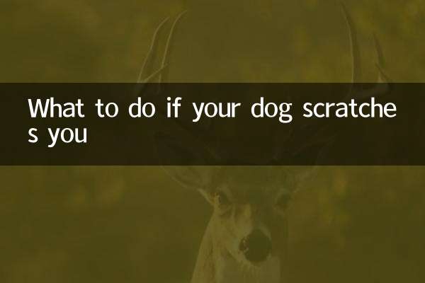 Что делать, если собака вас царапает