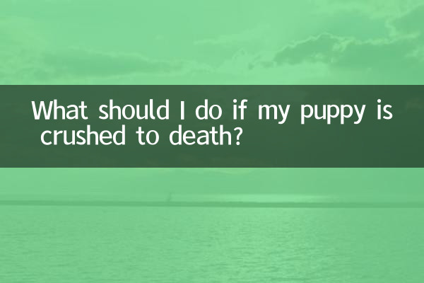 Que dois-je faire si mon chiot meurt écrasé ?