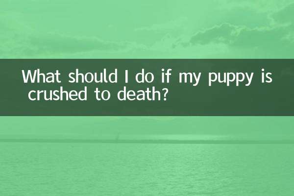 강아지가 깔려 죽으면 어떻게 해야 하나요?