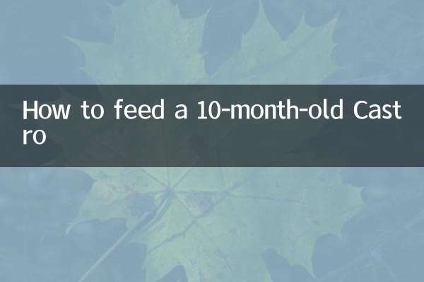 十個月卡斯羅怎麼餵