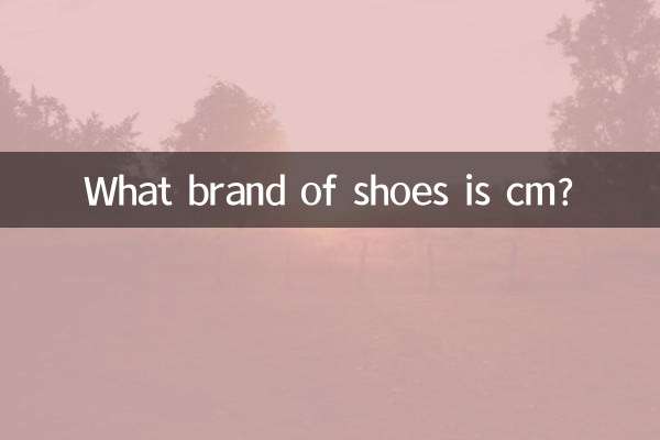 کفش چه مارکی سانتی متر است؟