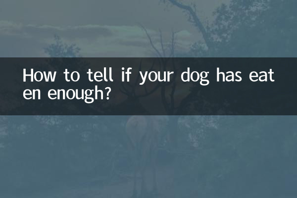 怎麼看狗狗吃沒吃飽