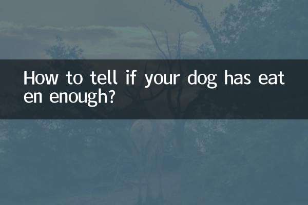怎麼看狗狗吃沒吃飽