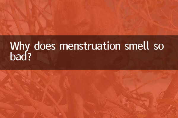 কেন মাসিক এত খারাপ গন্ধ?