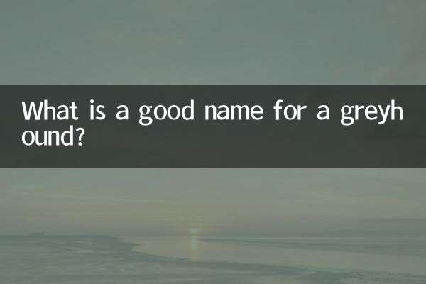 Qual è un buon nome per un levriero?