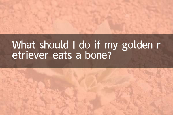 Cosa devo fare se il mio Golden Retriever mangia un osso?