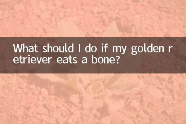 What should I do if my golden retriever eats a bone?