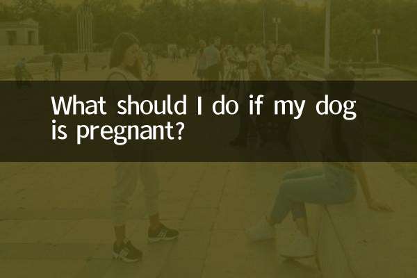우리 강아지가 임신했다면 어떻게 해야 하나요?