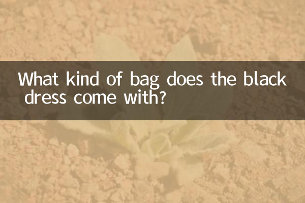 কালো পোশাকের সাথে কী ধরনের ব্যাগ আসে?