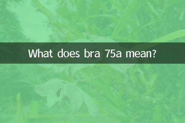 ماذا تعني حمالة الصدر 75a؟