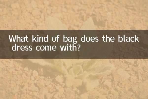 ما نوع الحقيبة التي يأتي معها الفستان الأسود؟