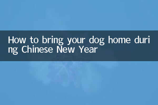 How to bring your dog home during Chinese New Year