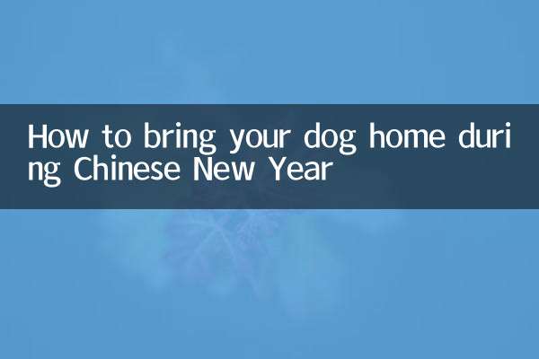 How to bring your dog home during Chinese New Year