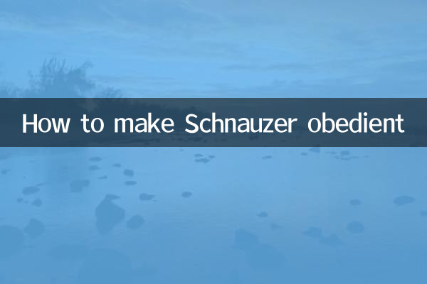 Cómo hacer que Schnauzer sea obediente