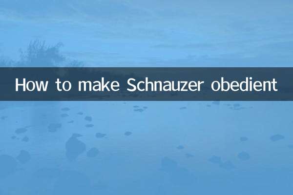 كيفية جعل شناوزر مطيعا