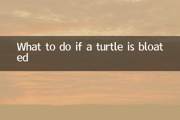 ¿Qué hacer si una tortuga está hinchada?