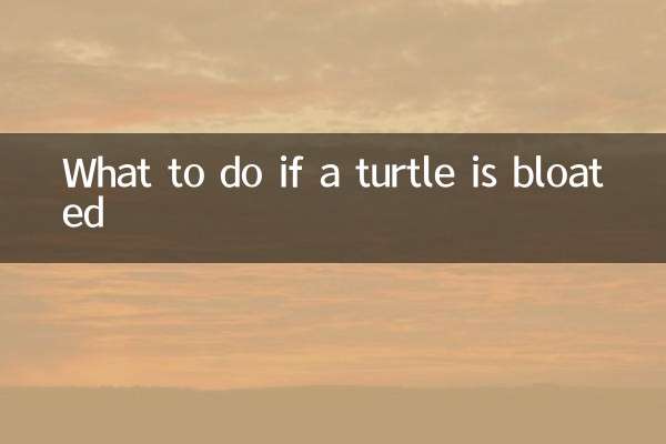 ¿Qué hacer si una tortuga está hinchada?