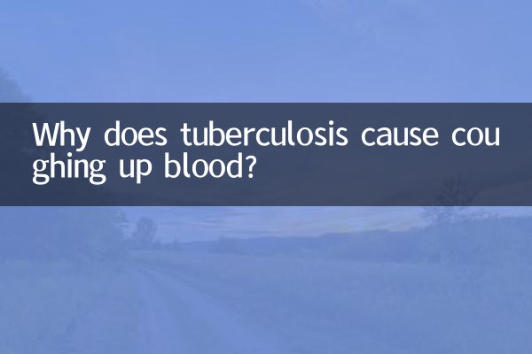 Why does tuberculosis cause coughing up blood?