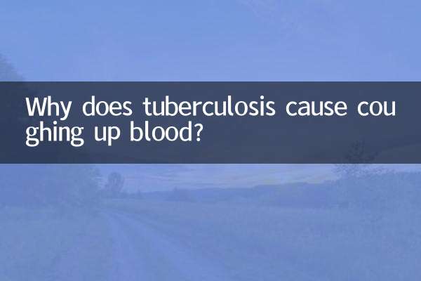 Why does tuberculosis cause coughing up blood?